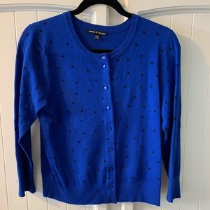 Cable & Gauge Blue Polka Dot Button Up Sweater